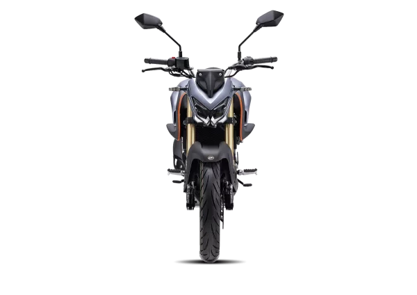QJ Motor SRK 125 S – Image 2