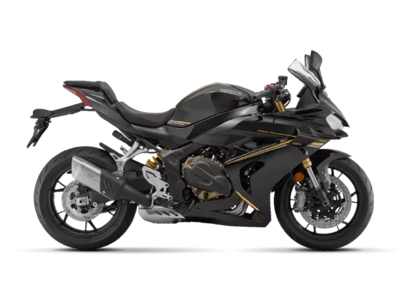 QJ Motor SRK 800 RR – Image 7