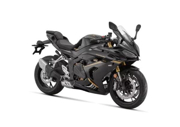 QJ Motor SRK 800 RR – Image 6