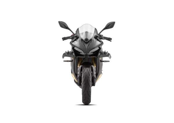 QJ Motor SRK 800 RR – Image 5