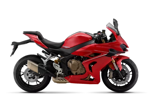 QJ Motor SRK 800 RR – Image 2