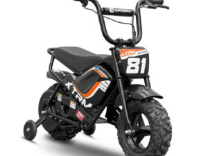Moto électrique 250W