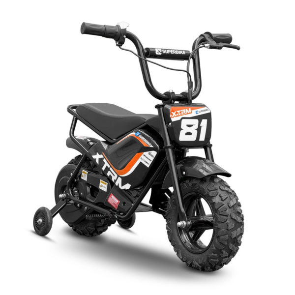 Moto électrique 250W