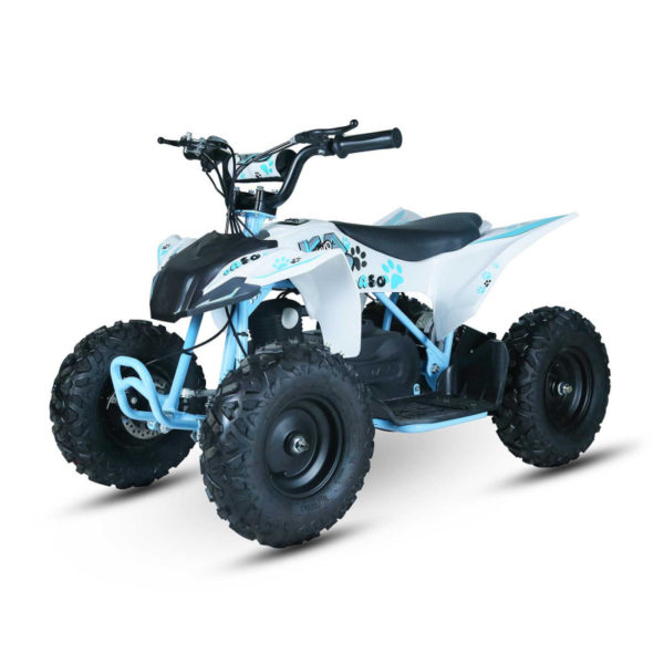 Quad électrique Kayo EA50