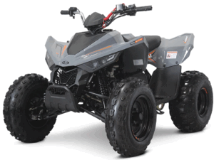 Linhai ATV 110