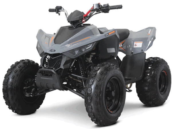 Linhai ATV 110