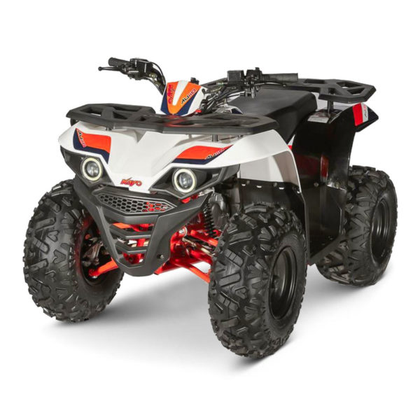 Quad Kayo AU110 – Image 2