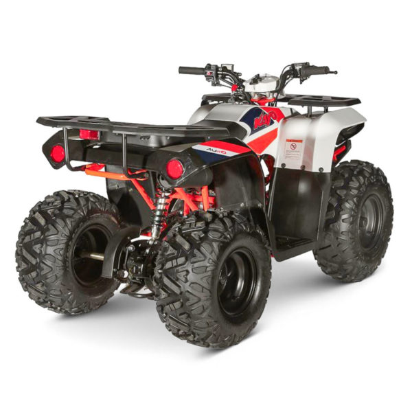 Quad Kayo AU110 – Image 4