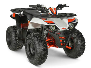 Quad Kayo AU110
