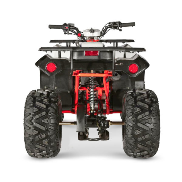 Quad Kayo AU110 – Image 5