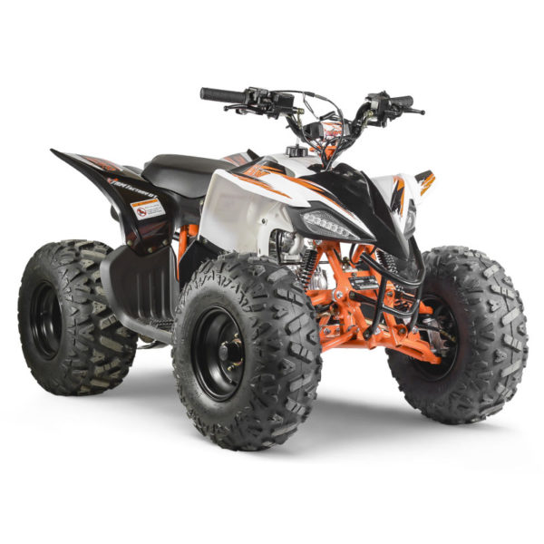 Quad Kayo AT110